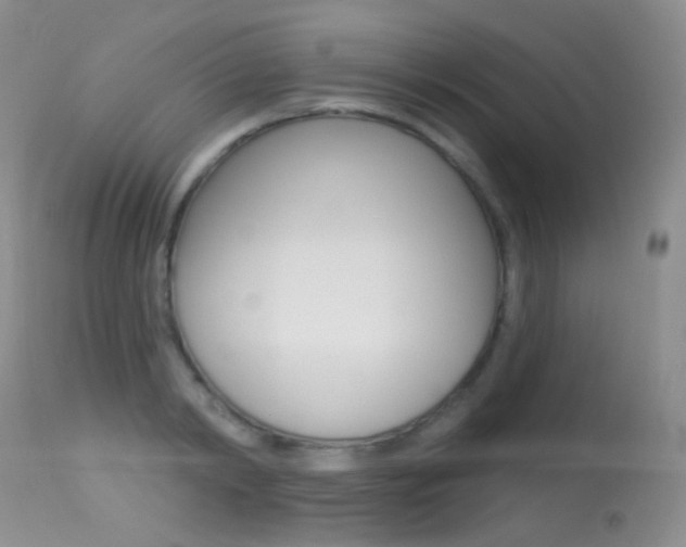 X0000113610798200909181050