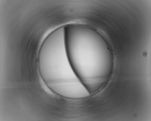 X0000113610800200909181050