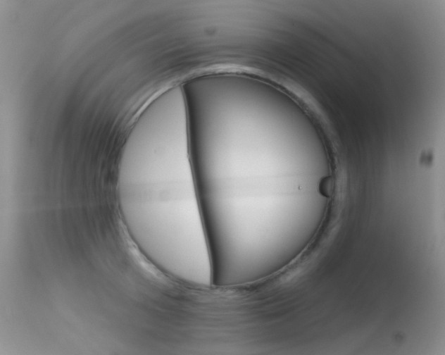X0000113610801200909181050