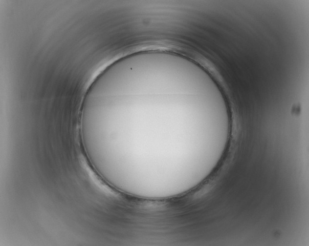 X0000113610802200909181050