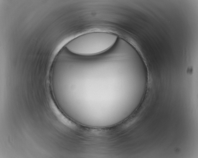 X0000113610803200909181050