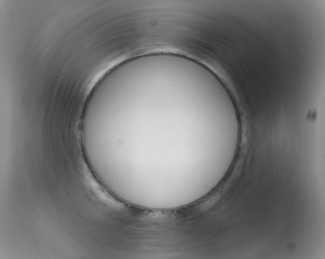 X0000113610806200909181050