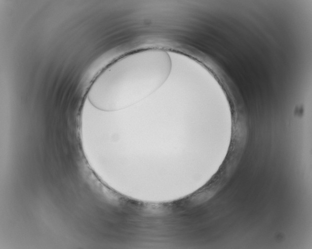 X0000113610807200909181050