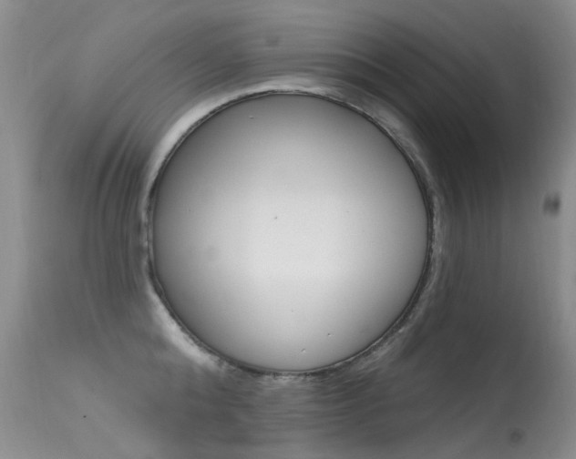 X0000113610808200909181050