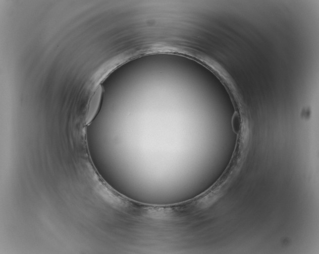 X0000113610809200909181050