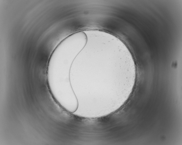 X0000113610810200909181050