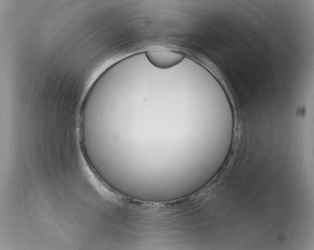 X0000113610811200909181050