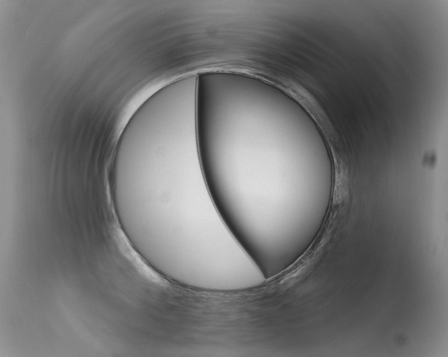 X0000113610812200909181050