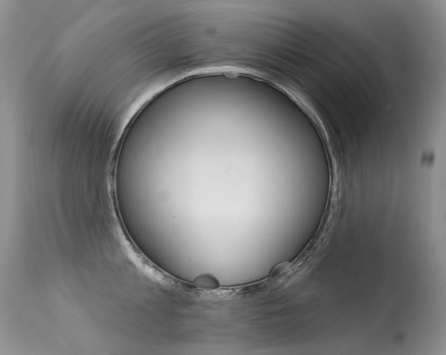 X0000113610813200909181050