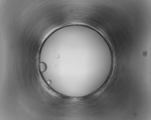 X0000113610814200909181050