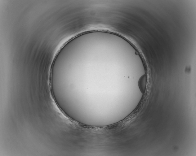 X0000113610815200909181050