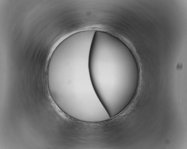 X0000113610816200909181050