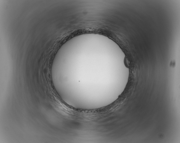 X0000113610817200909181049