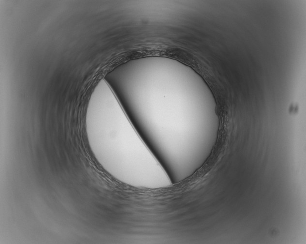 X0000113610818200909181049