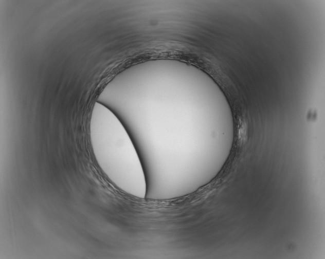 X0000113610819200909181049