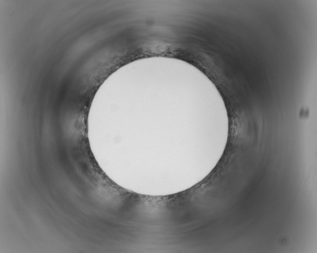 X0000113610820200909181049