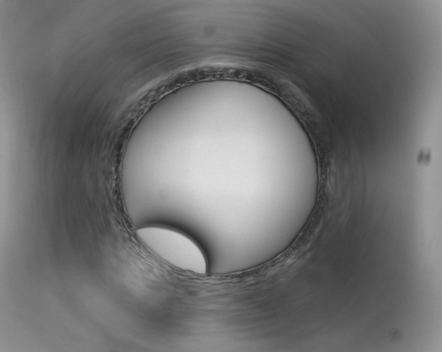X0000113610821200909181049