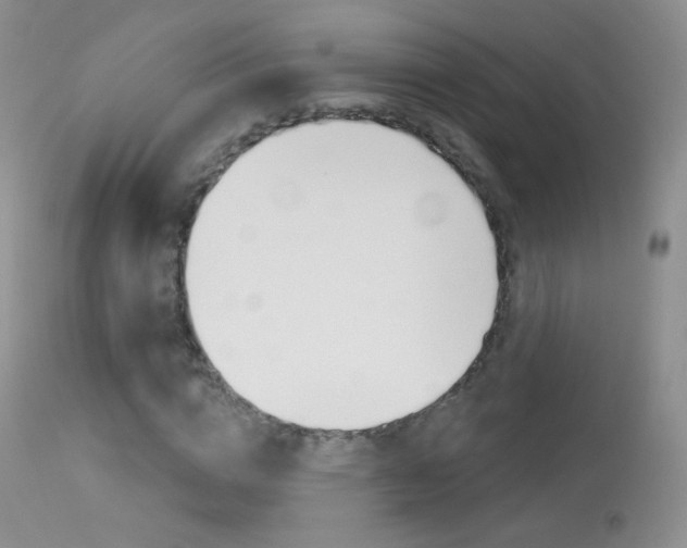 X0000113610824200909181049