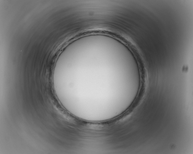 X0000113610825200909181049