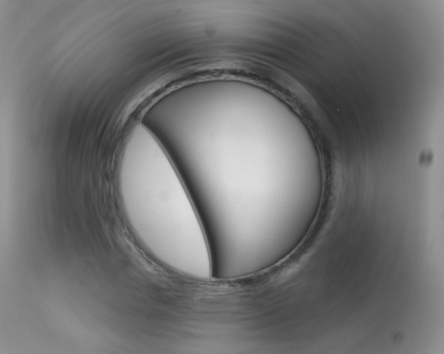 X0000113610826200909181049