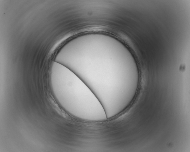 X0000113610827200909181049