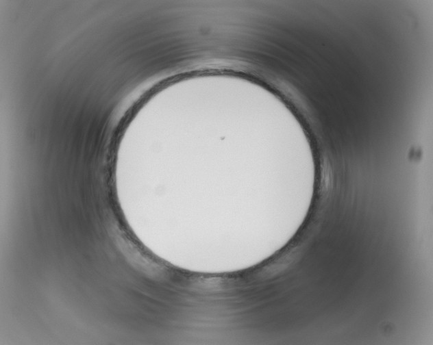 X0000113610828200909181049