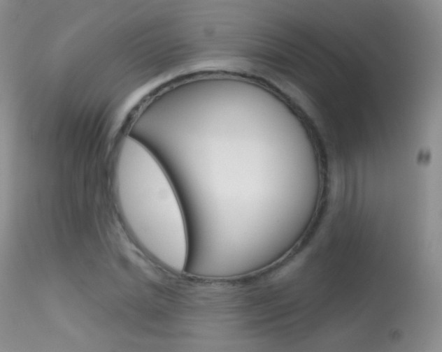 X0000113610830200909181049