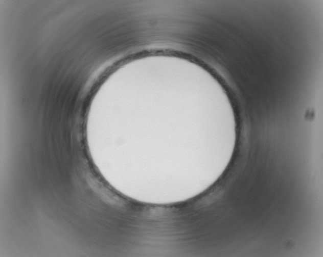 X0000113610832200909181049