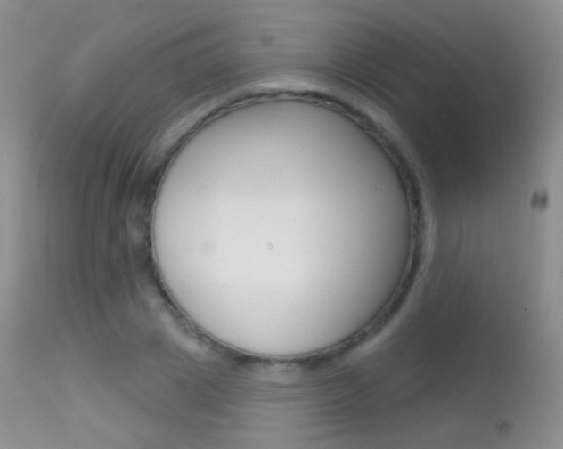 X0000113610833200909181049