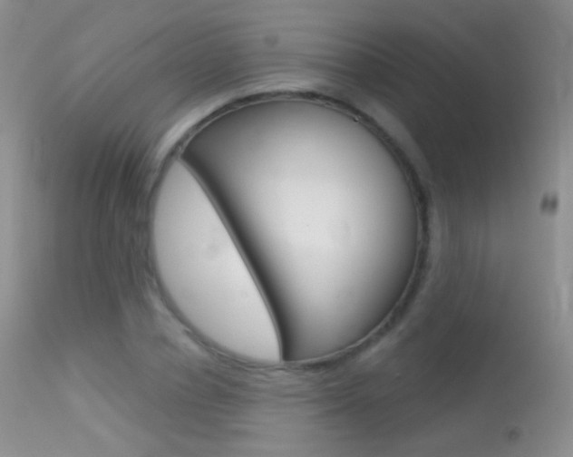 X0000113610834200909181049