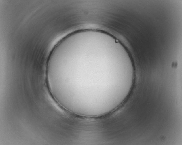 X0000113610839200909181050