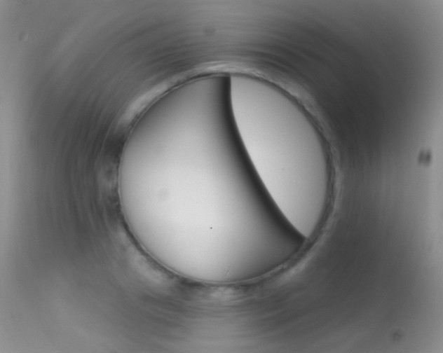 X0000113610841200909181050