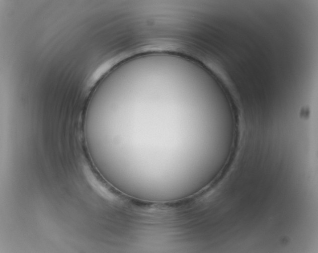 X0000113610842200909181050