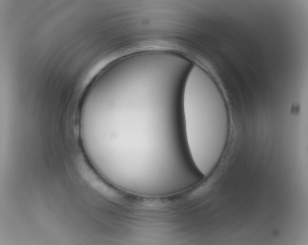 X0000113610843200909181050