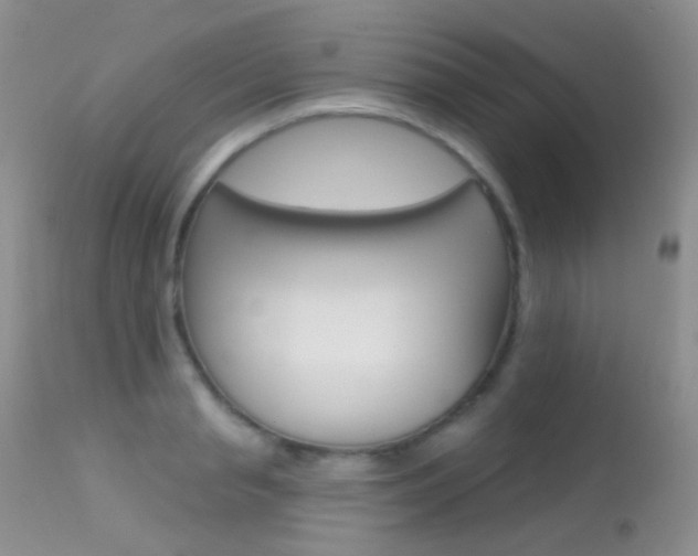 X0000113610845200909181050
