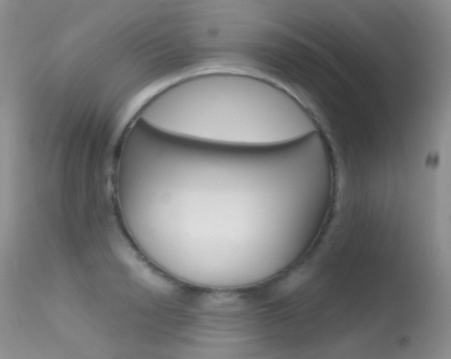 X0000113610846200909181050