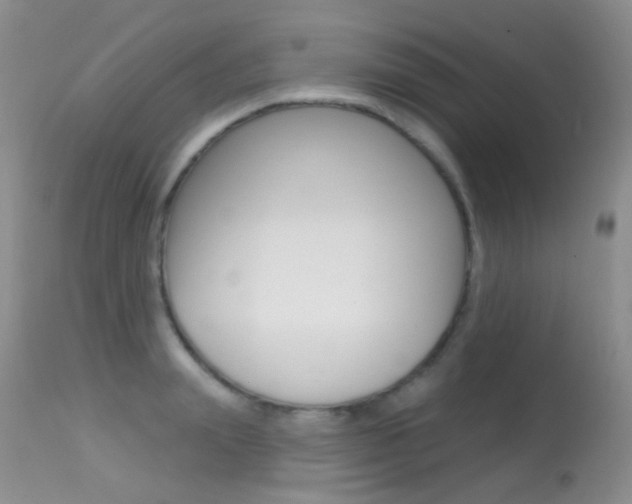 X0000113610847200909181050