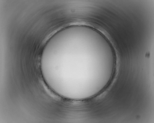 X0000113610849200909181050