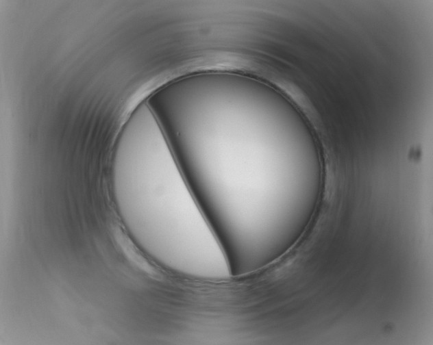 X0000113610850200909181050