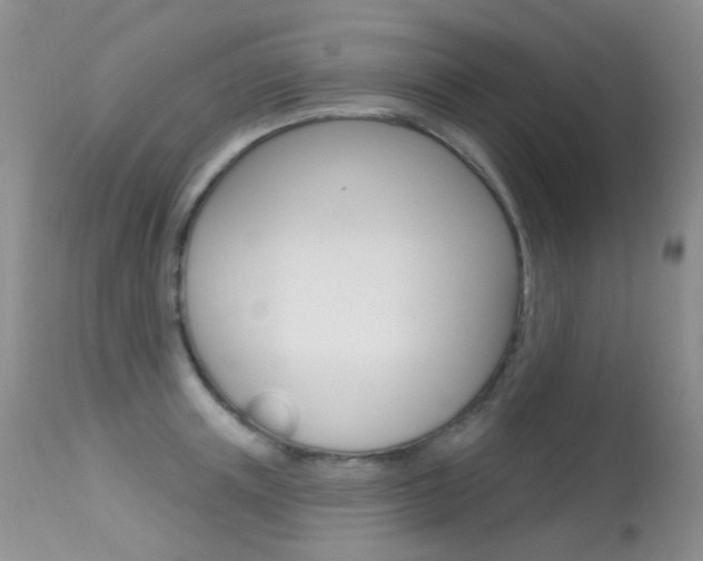 X0000113610851200909181050