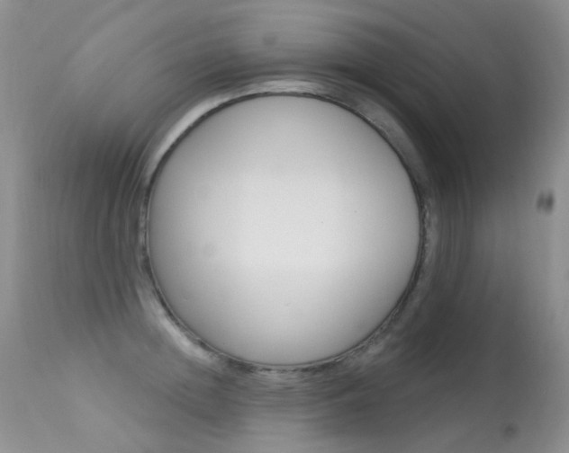 X0000113610852200909181050