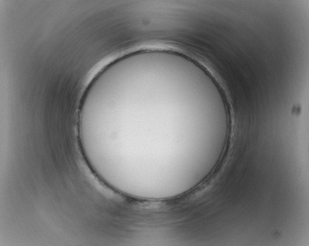 X0000113610853200909181050
