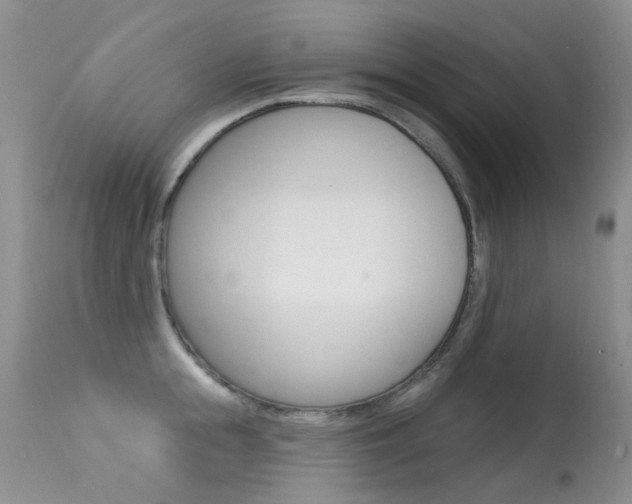 X0000113610855200909181050