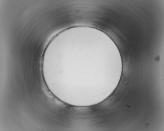 X0000113610856200909181050