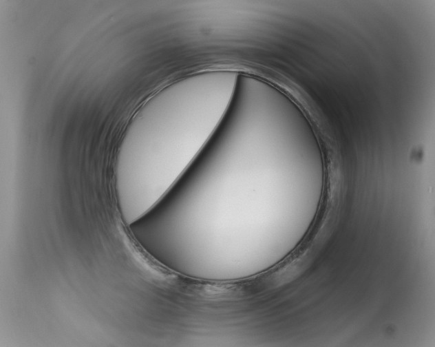 X0000113610857200909181050