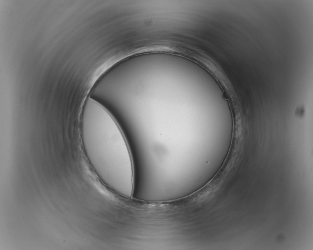 X0000113610858200909181050