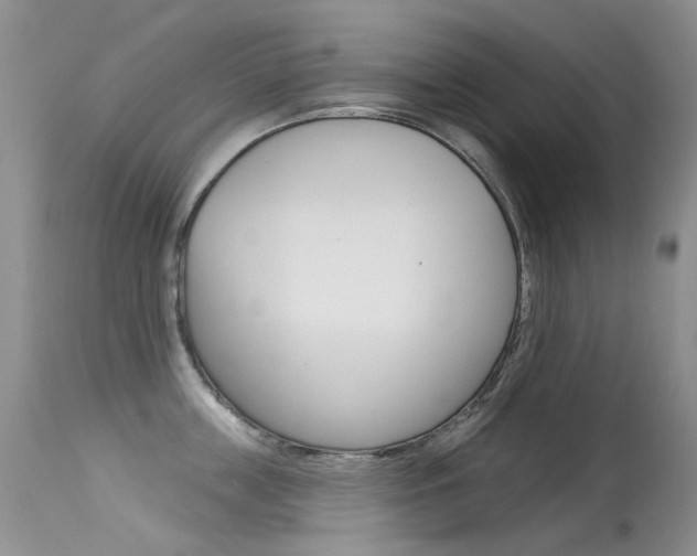X0000113610859200909181050