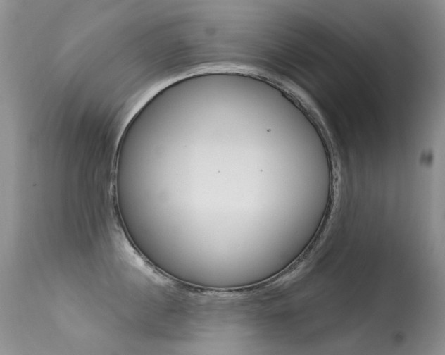 X0000113610860200909181050