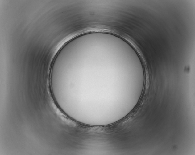 X0000113610861200909181050
