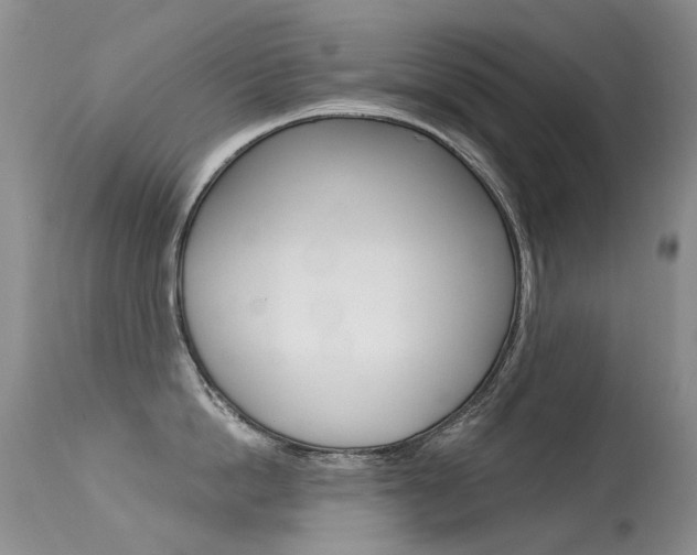 X0000113610862200909181050